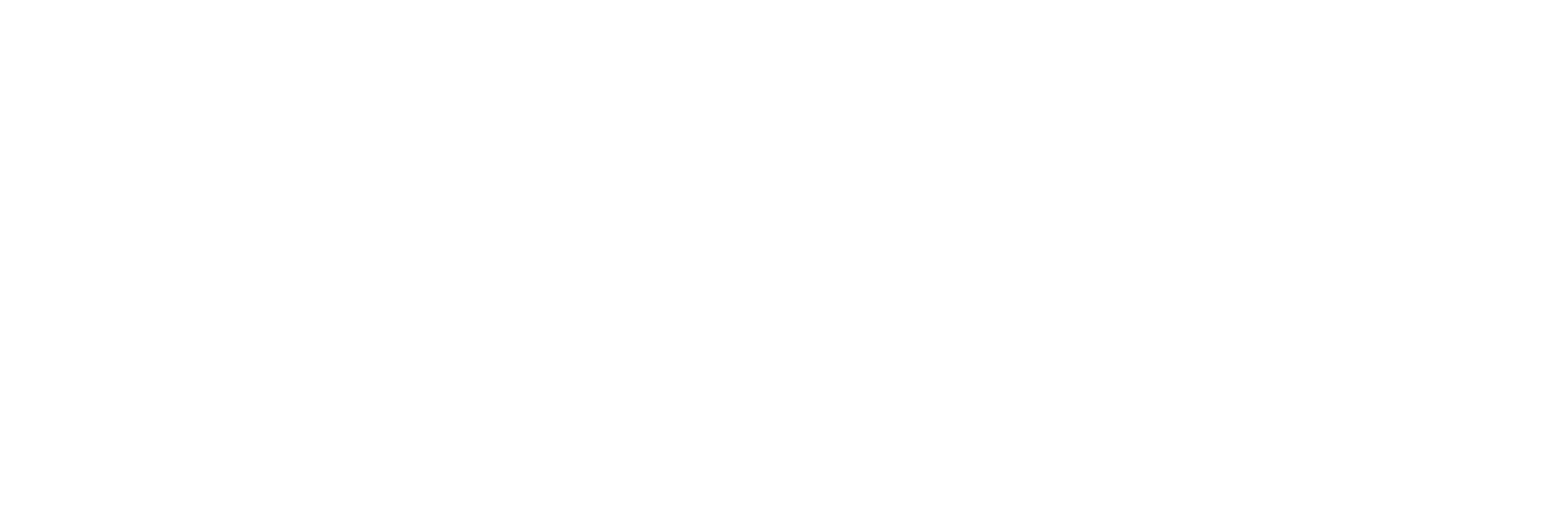 Data Science, Analytics and Engineering Program Logo